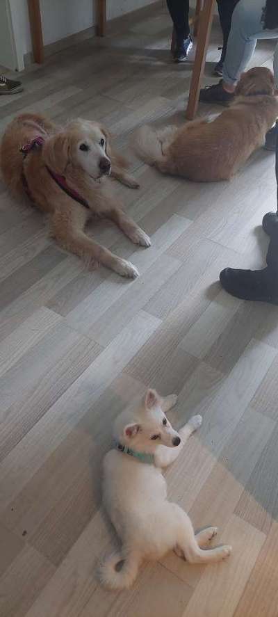 Impulskontrolle Challenge Nr.: 7
         "Gesellschaftsfähig"-Beitrag-Bild