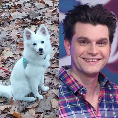 Wie heißt dein Hund?-Beitrag-Bild