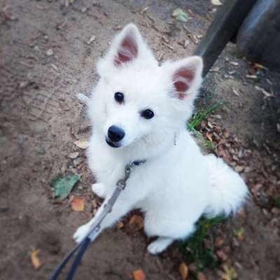 Zeigt eure Portraits-Beitrag-Bild