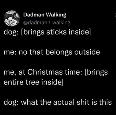 Hunde Memes-Beitrag-Bild