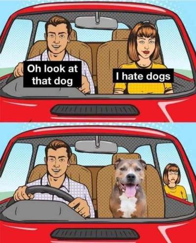 Hunde Memes-Beitrag-Bild