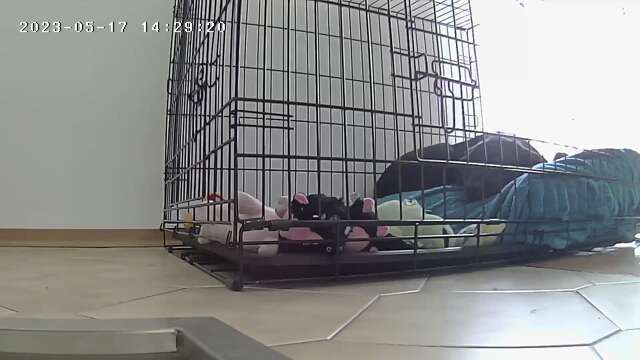 42. Collage Challenge - Ruheplatz-Beitrag-Bild