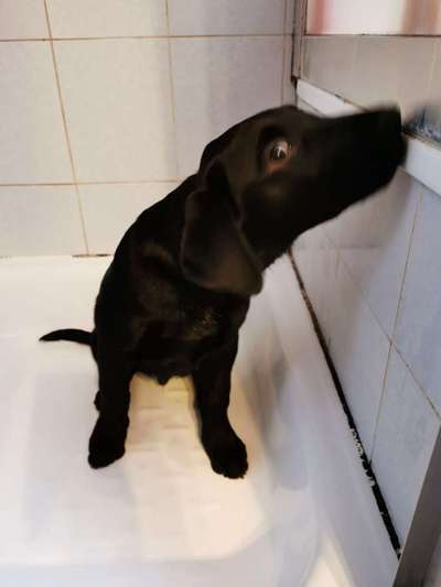 14. Farbenfoto-Challenge "Weiss"-Beitrag-Bild