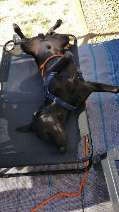 Dogorama Photo Challenge - Urlaubsziele-Beitrag-Bild