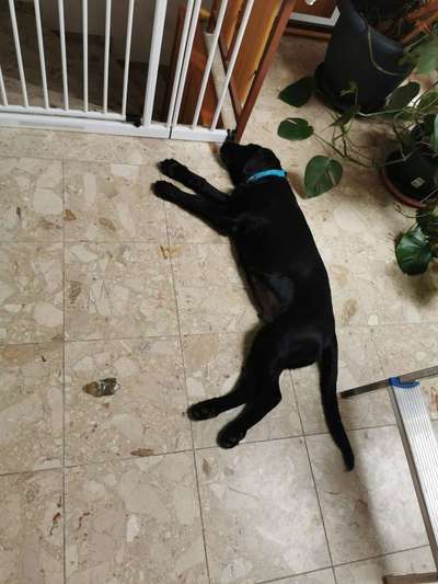 42. Collage Challenge - Ruheplatz-Beitrag-Bild