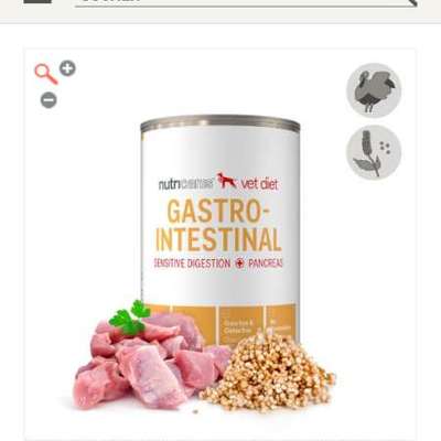 Fettreduziertes Nassfutter (Gastro) für Seniorhündin-Beitrag-Bild