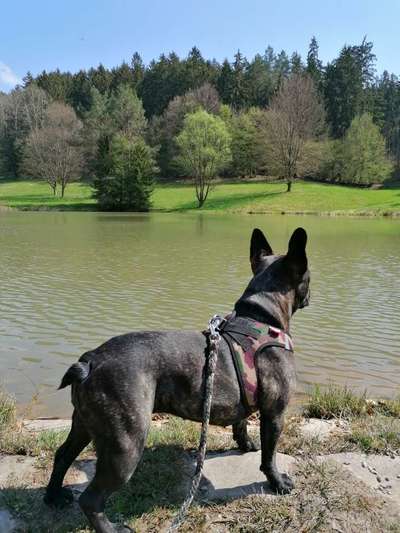 Fotowettbewerb Natur-Beitrag-Bild