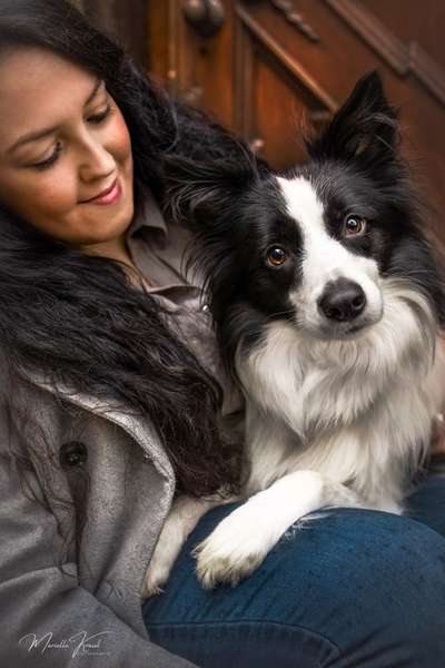 Giftköder-Hund & Mensch Fotografie-Bild