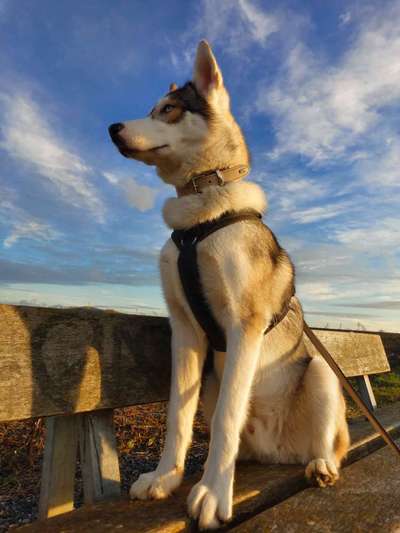 Lieblings Fotos-Beitrag-Bild