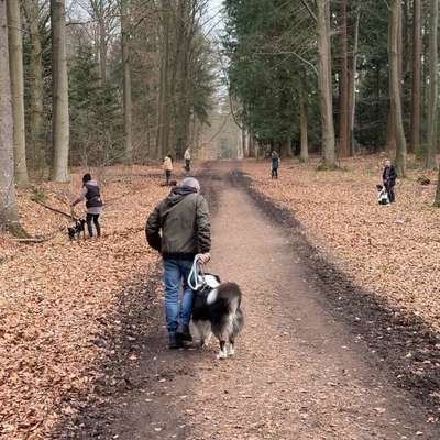 Giftköder-Social Walk-Bild
