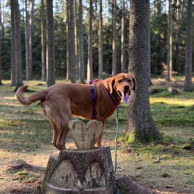 %{de_profession_title}-Individuelles Einzeltraining-Bild