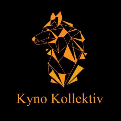 Hundeschulen-Hundeschule KynoKollektiv-Bild