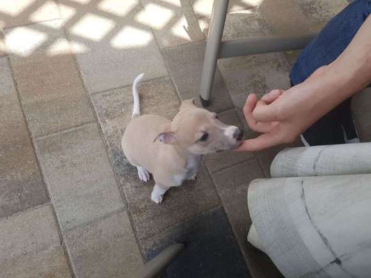 Das erste Foto-Beitrag-Bild