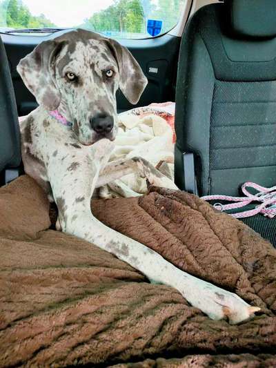 Fotochallenge 101:
On Tour-Beitrag-Bild