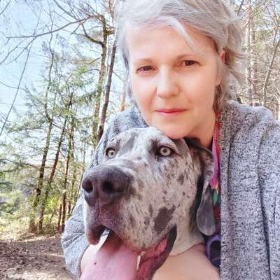 Hundetreffen-Spaziergang und Spielen-Profilbild