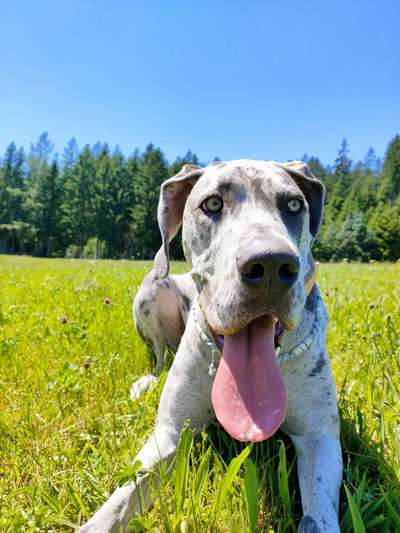 Handyfoto challenge Nr. 13: Waschlappen raus!-Beitrag-Bild