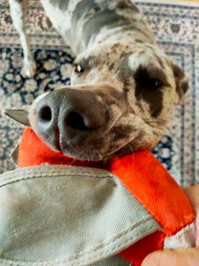 Handy-Foto Challange Nr. 10-Beitrag-Bild