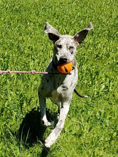 Lieblingsbild-Beitrag-Bild