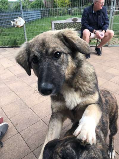 Erstes Bild-Beitrag-Bild