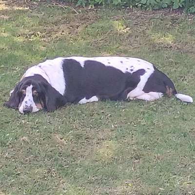 Corinna's Profilbild