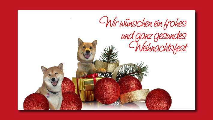 Weihnachtsfoto Aktion!-Beitrag-Bild