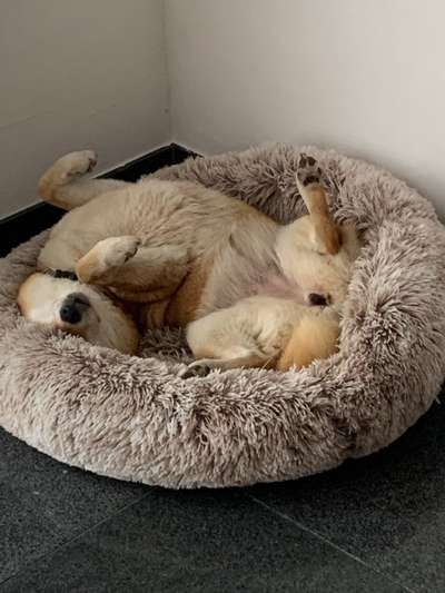 Die unbequemsten und lustigsten Schlafpositionen-Beitrag-Bild