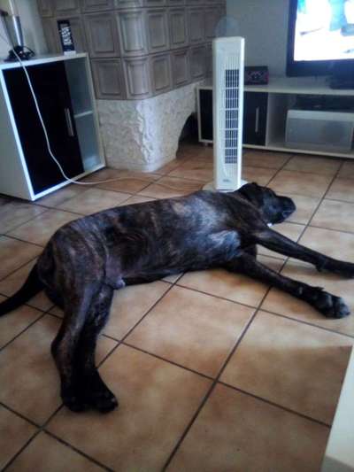 Schlafposition-Beitrag-Bild