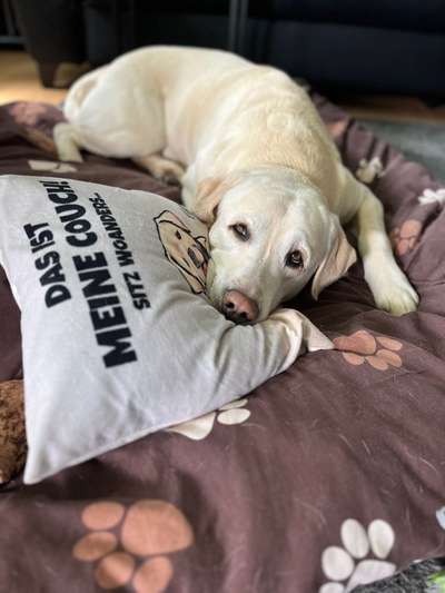 Foto Challenge Nr. 134-Beitrag-Bild