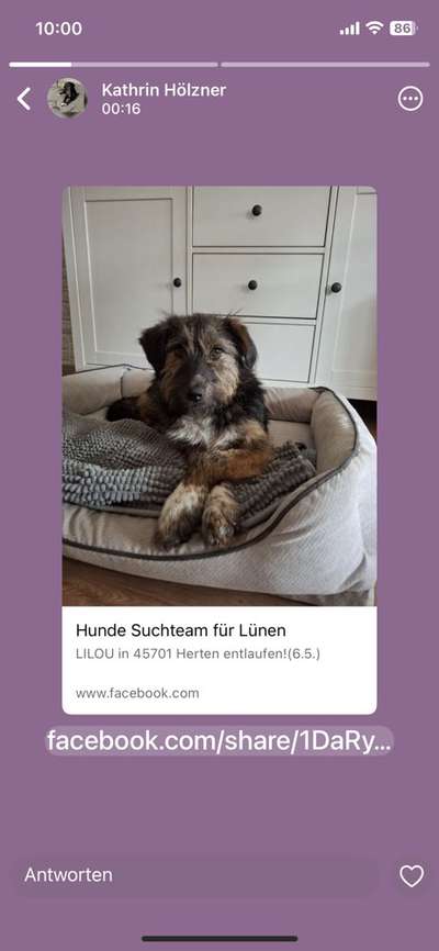 Suchmeldung-Lilou-Bild