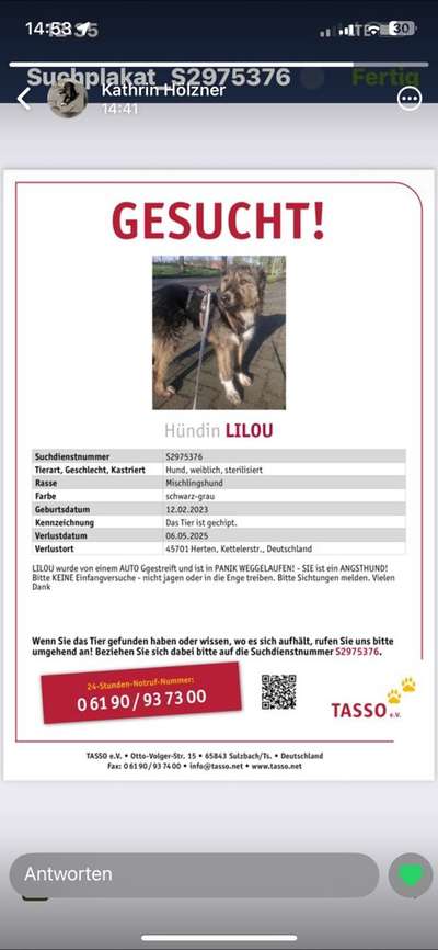 Suchmeldung-Lilou-Bild