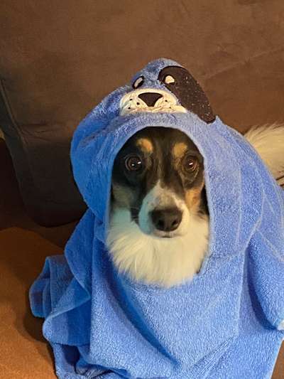 Lustige Grimassen & verrückte Posen-Beitrag-Bild