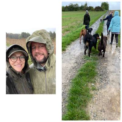 Rhodesian Ridgeback-Beitrag-Bild