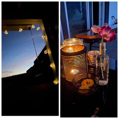 Rhodesian Ridgeback-Beitrag-Bild