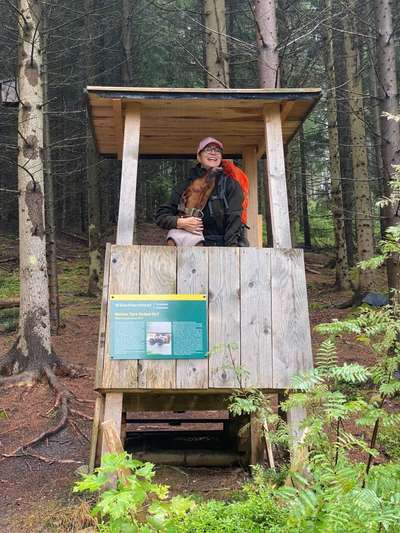 Rhodesian Ridgeback-Beitrag-Bild