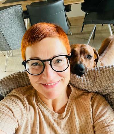 Rhodesian Ridgeback-Beitrag-Bild