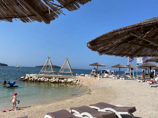 Rhodesian Ridgeback-Beitrag-Bild