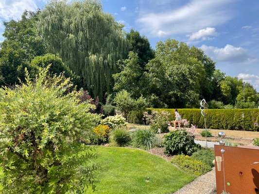 Rhodesian Ridgeback-Beitrag-Bild