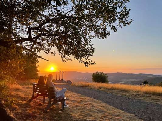 Rhodesian Ridgeback-Beitrag-Bild