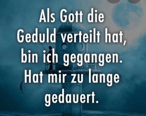 Rhodesian Ridgeback-Beitrag-Bild