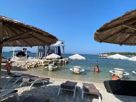 Rhodesian Ridgeback-Beitrag-Bild