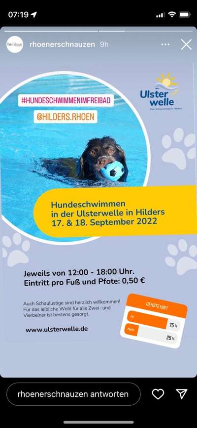 Rhodesian Ridgeback-Beitrag-Bild