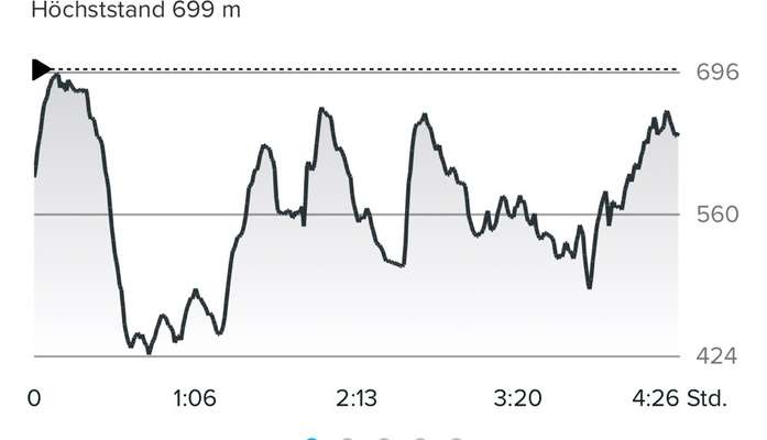 Rhodesian Ridgeback-Beitrag-Bild