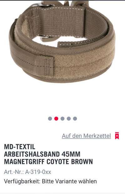 Rhodesian Ridgeback-Beitrag-Bild