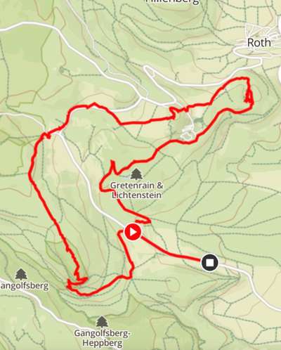 Rhodesian Ridgeback-Beitrag-Bild