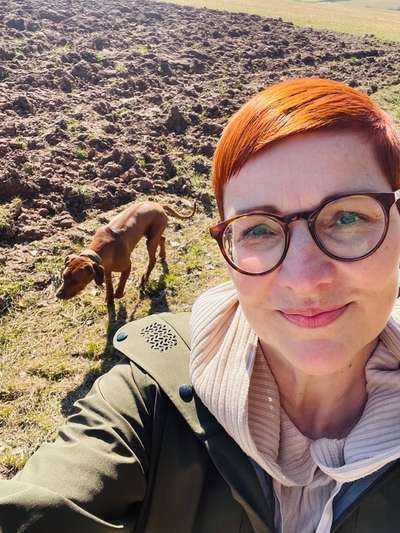 Rhodesian Ridgeback-Beitrag-Bild