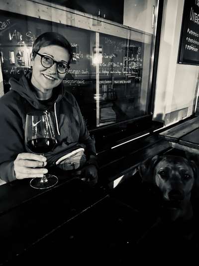 Rhodesian Ridgeback-Beitrag-Bild