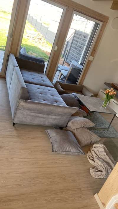 Rhodesian Ridgeback-Beitrag-Bild