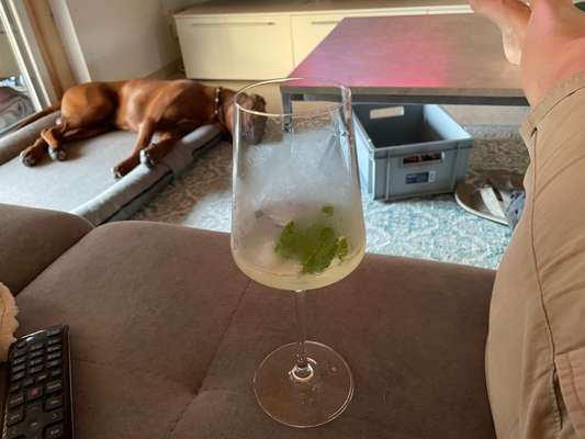 Rhodesian Ridgeback-Beitrag-Bild