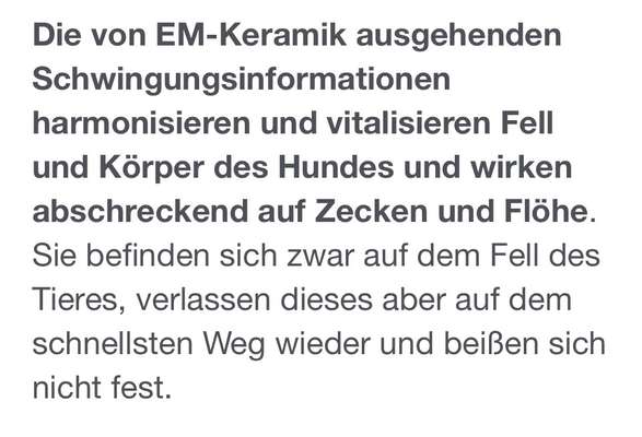 Rhodesian Ridgeback-Beitrag-Bild