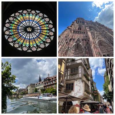 Rhodesian Ridgeback-Beitrag-Bild